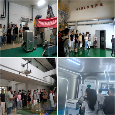 筑夢起航，賦能未來——我院成功舉辦2025年新入職人員高等教育專項崗前培訓