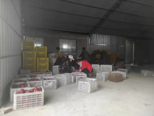 工行溫度丨工行于堡村農(nóng)產(chǎn)品集中交易點(diǎn)建成,農(nóng)產(chǎn)品交易更便捷啦