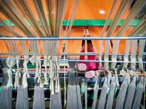 美國出口管制清單新增14類技術，特種紡織品貿(mào)易面臨新挑戰(zhàn)